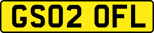 GS02OFL