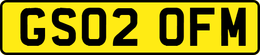 GS02OFM