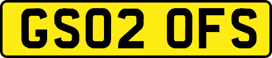GS02OFS