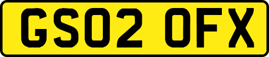 GS02OFX