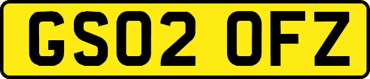 GS02OFZ