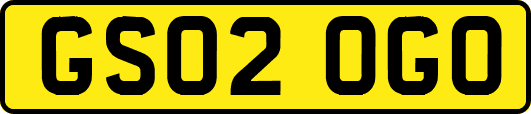 GS02OGO