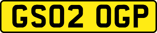 GS02OGP