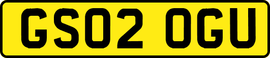 GS02OGU