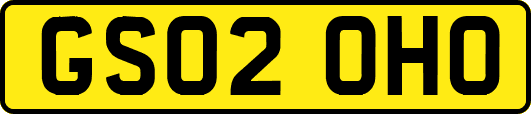 GS02OHO