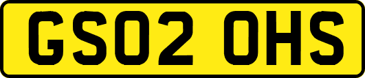 GS02OHS