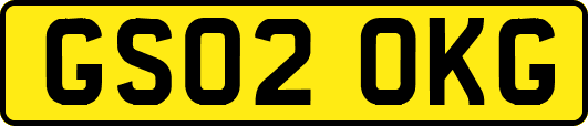 GS02OKG