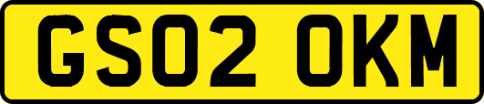 GS02OKM