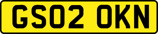 GS02OKN