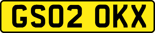 GS02OKX