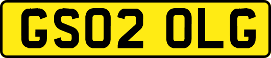 GS02OLG