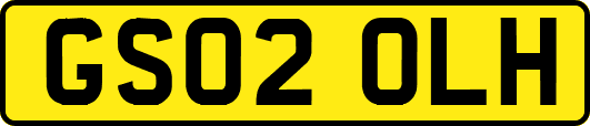 GS02OLH