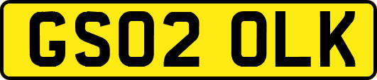 GS02OLK