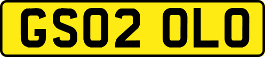 GS02OLO