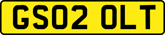 GS02OLT