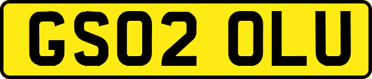 GS02OLU