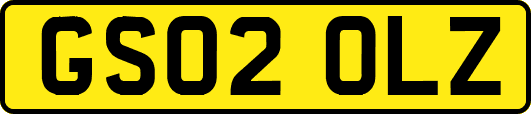 GS02OLZ