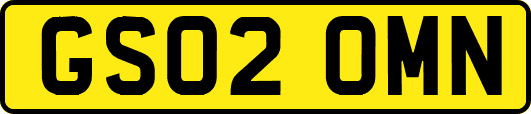 GS02OMN