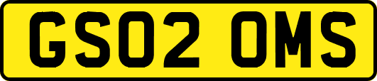 GS02OMS
