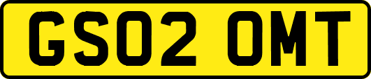 GS02OMT