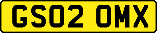 GS02OMX