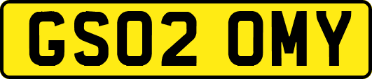 GS02OMY