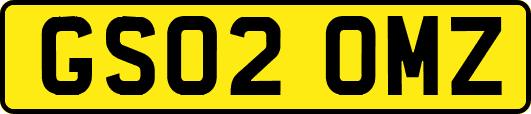 GS02OMZ