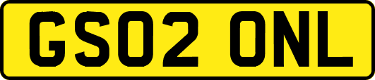GS02ONL