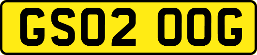 GS02OOG