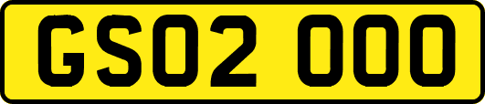 GS02OOO