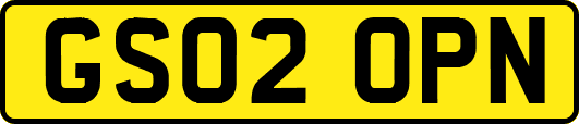 GS02OPN