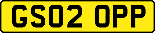 GS02OPP