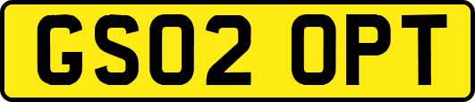 GS02OPT