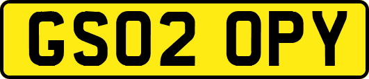 GS02OPY