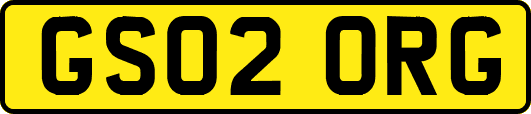 GS02ORG