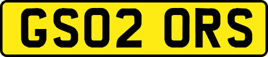 GS02ORS