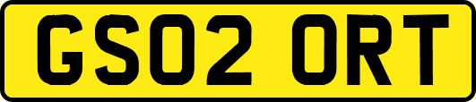 GS02ORT