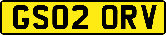 GS02ORV