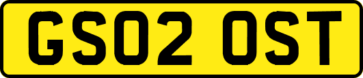 GS02OST
