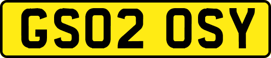 GS02OSY