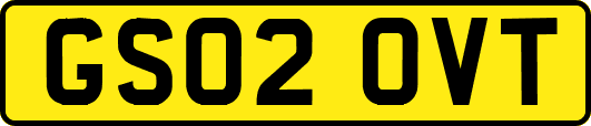 GS02OVT