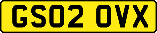 GS02OVX