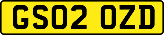 GS02OZD