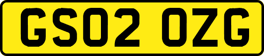 GS02OZG