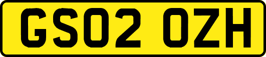 GS02OZH
