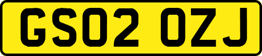 GS02OZJ