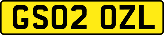 GS02OZL