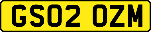 GS02OZM