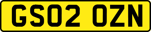 GS02OZN