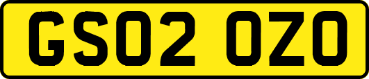 GS02OZO